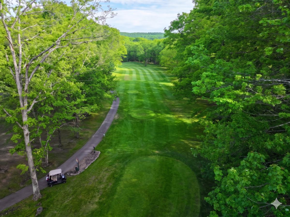 Hole 10 tee box, par 4 with a large oak tree framing the left side of the fairway